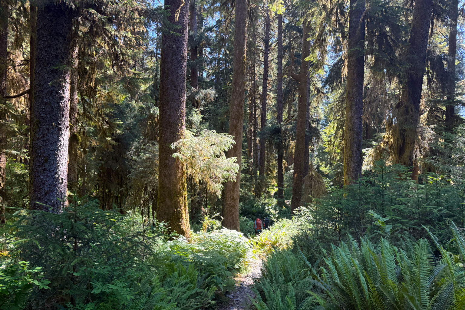 Around mile 5.