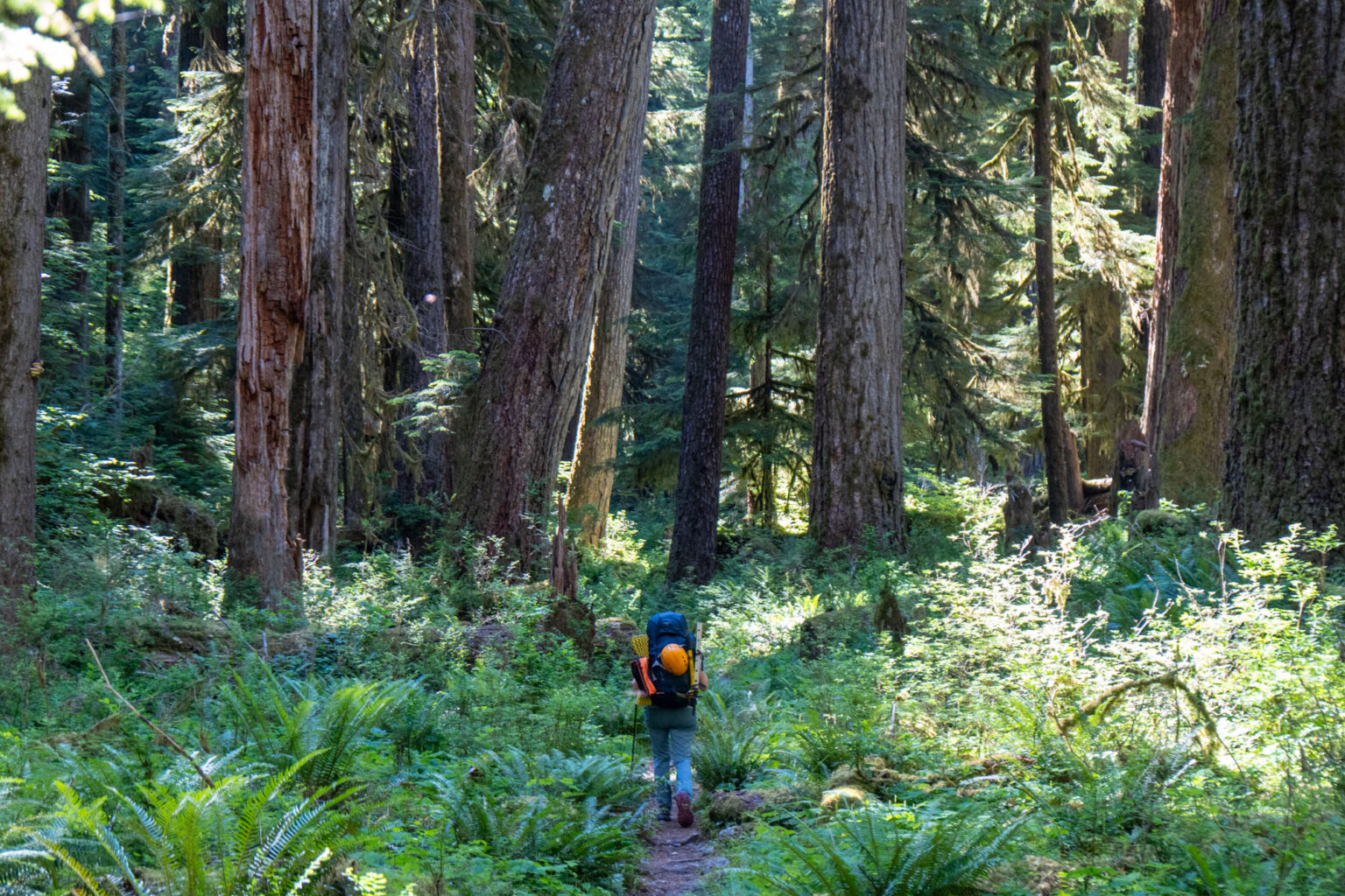 Around mile 15.