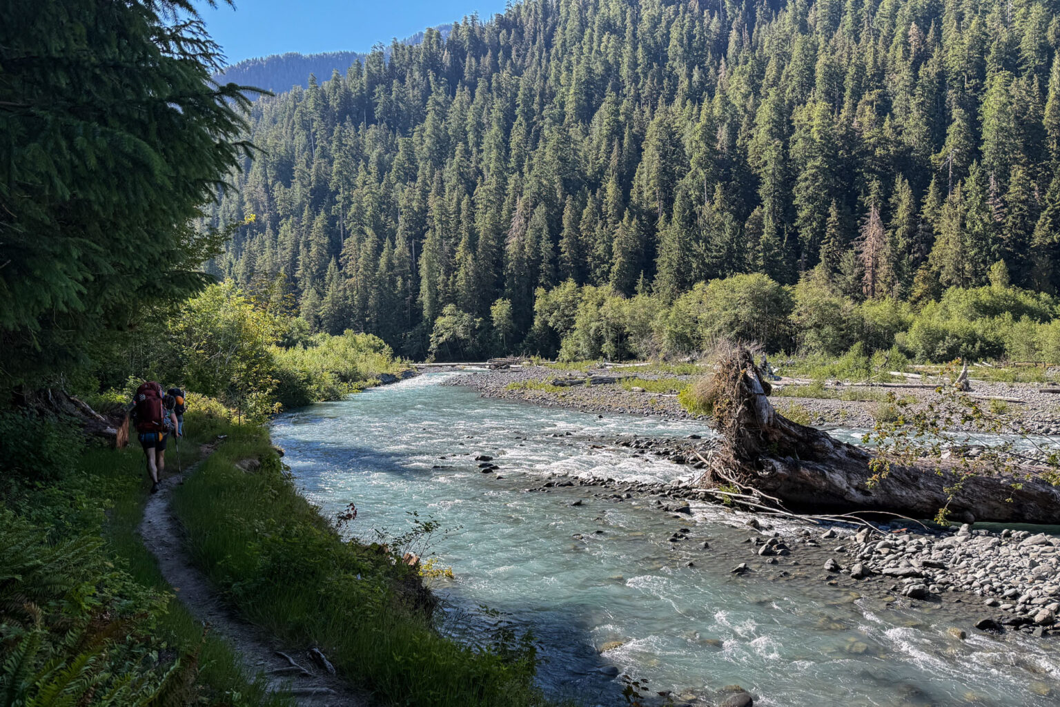 Next to the Hoh River.