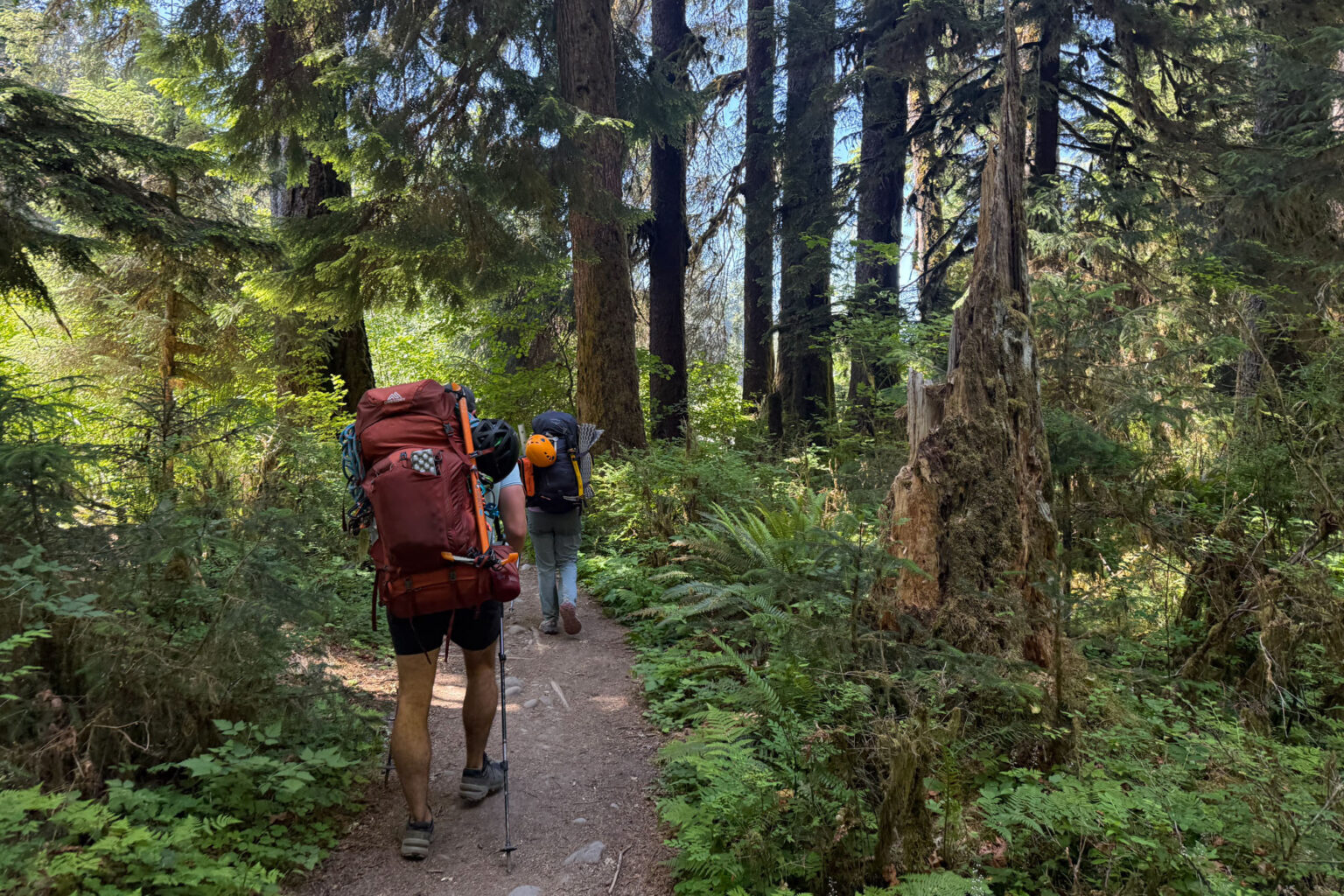 On the climb up the Glacier Meadows.